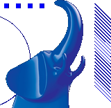 Kyoorius Design Award - Baby Blue Elephant 2023