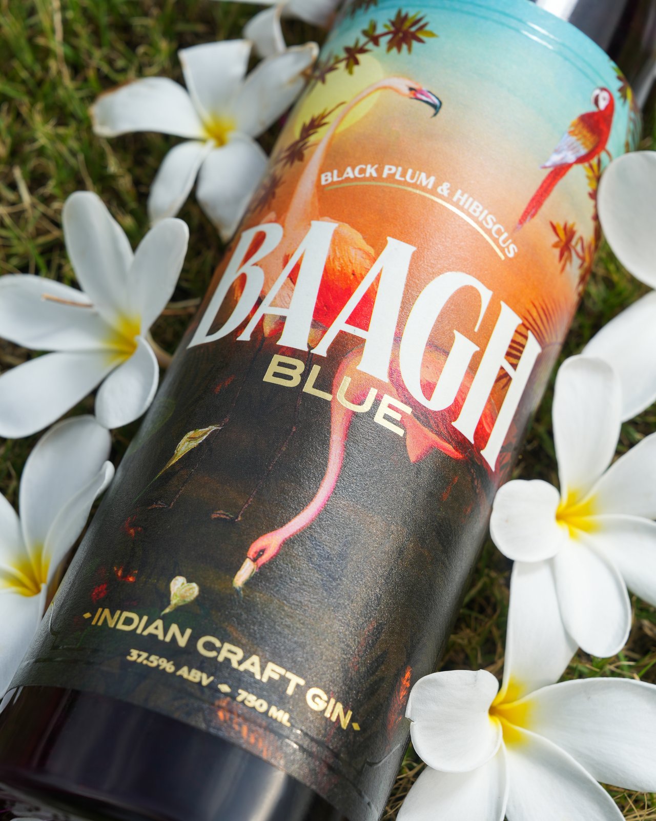 Baagh Blue Indian Craft Gin lying in grass among frangipani flowers